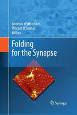 Folding for the Synapse