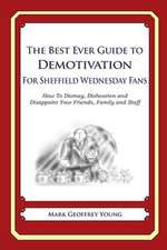 The Best Ever Guide to Demotivation for Sheffield Wednesday Fans