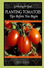 Planting Tomatoes: Tips Before You Begin