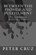 Between the Promise and Fulfillment