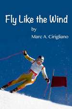 Fly Like the Wind