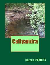 Callyandra