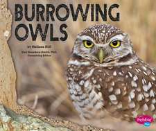 Burrowing Owls