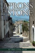 Aprons of Stone: A Novel Based on True Events