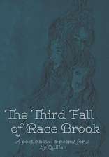 The Third Fall of Race Brook