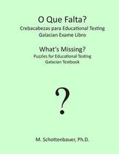 What's Missing? Puzzles for Educational Testing