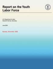 Report on the Youth Labor Force