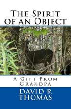 The Spirit of an Object