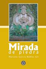 Mirada de Piedra