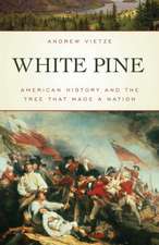 Vietze, A: White Pine