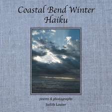 Coastal Bend Winter Haiku