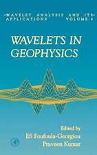 Wavelets in Geophysics