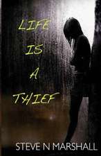 Life Is a Thief