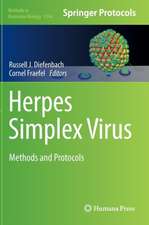 Herpes Simplex Virus