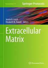 Extracellular Matrix