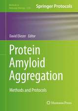 Protein Amyloid Aggregation