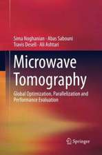 Microwave Tomography: Global Optimization, Parallelization and Performance Evaluation