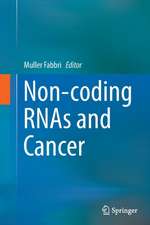 Non-coding RNAs and Cancer