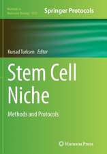 Stem Cell Niche