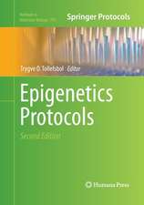 Epigenetics Protocols