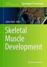 Skeletal Muscle Development