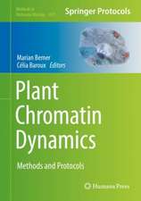 Plant Chromatin Dynamics