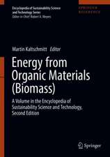 Energy from Organic Materials (Biomass): A Volume in the Encyclopedia of Sustainability Science and Technology, Second Edition