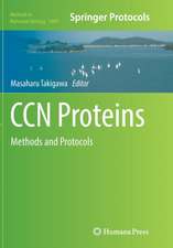 CCN Proteins