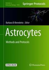 Astrocytes: Methods and Protocols