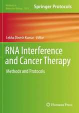 RNA Interference and Cancer Therapy