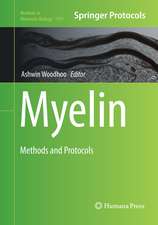 Myelin