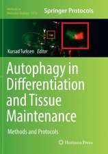 Autophagy in Differentiation and Tissue Maintenance: Methods and Protocols