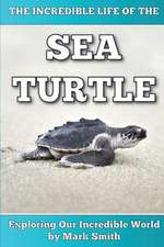 The Incredible Life of the Sea Turtle