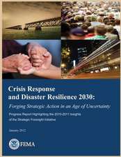 Crisis Response and Disaster Resilience 2030