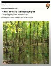 Wetland Inventory and Mapping Report