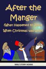 After the Manger (What Happened to Jesus When Christmas Was Over)