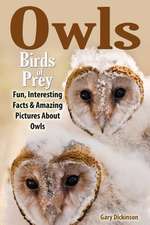 Owls