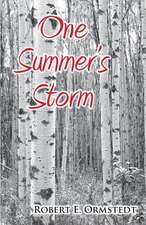 One Summer's Storm