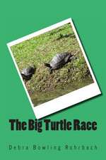 The Big Turtle Race