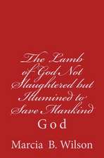 The Lamb of God Not Slaughtered But Illumined to Save Mankind