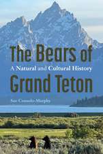 The Bears of Grand Teton