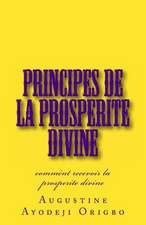 Principes de La Prosperite Divine