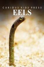 Eels - Curious Kids Press