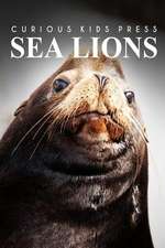 Sea Lion - Curious Kids Press