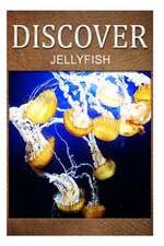 Jellyfish - Discover