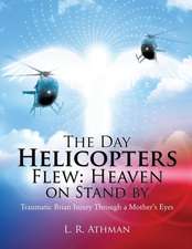 The Day Helicopters Flew: Heaven on Stand by