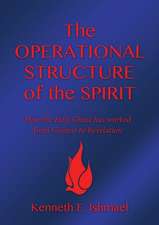 The Operational Structure of the Spirit