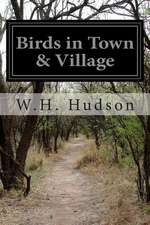 Birds in Town & Village