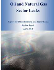 Oil and Natural Gas Sector Leaks