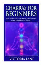 Chakras for Beginners